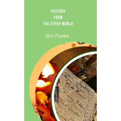 Visitors from the other world - Ebook - Broché