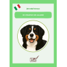 Livre italien pour débutant -lecture en italien niveau collège niveau A2